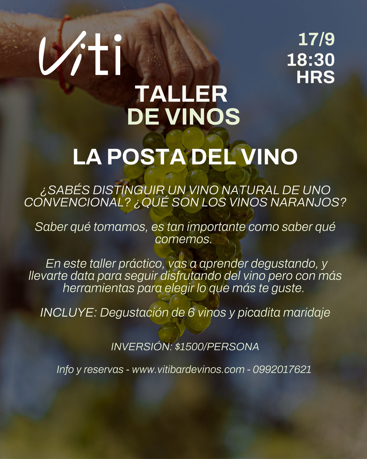 Taller de Vinos "La Posta del Vino"
