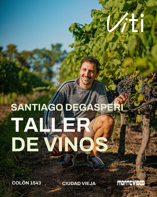 Taller de Vinos "La Posta del Vino"